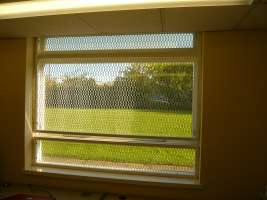 Window Guard Grille